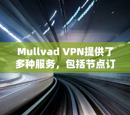 Mullvad VPN提供了多种服务，包括节点订阅和高速线路，以下是对这些服务的详细分析