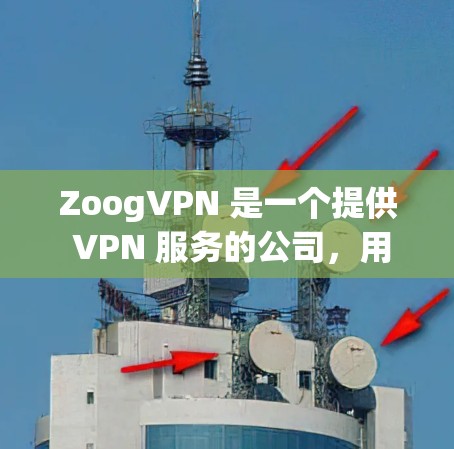 ZoogVPN 是一个提供 VPN 服务的公司，用户可以通过其官网访问。如果您想找到 ZoogVPN 的官网入口，您可以通过以下步骤进行