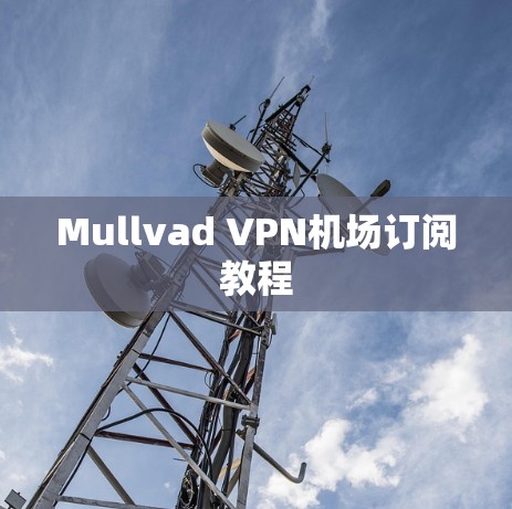 Mullvad VPN机场订阅教程