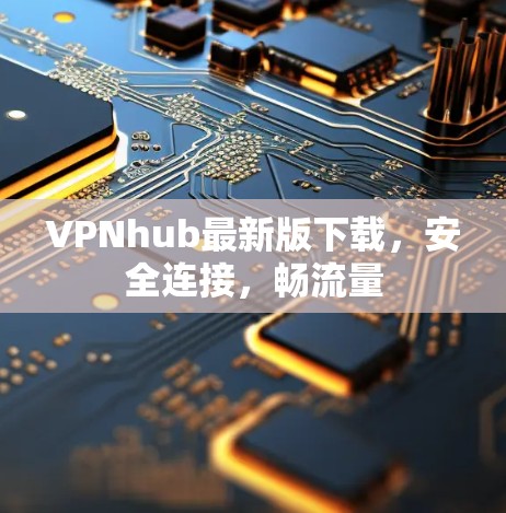 VPNhub最新版下载，安全连接，畅流量