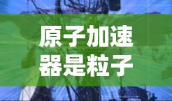 原子加速器是粒子物理学中的重要工具，用于研究子粒子的性质和行为。以下是对原子加速器的基本理解和分析