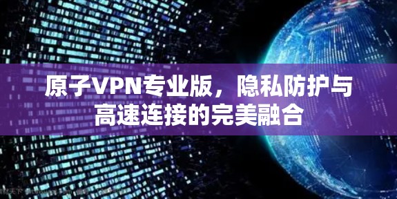 原子VPN专业版，隐私防护与高速连接的完美融合