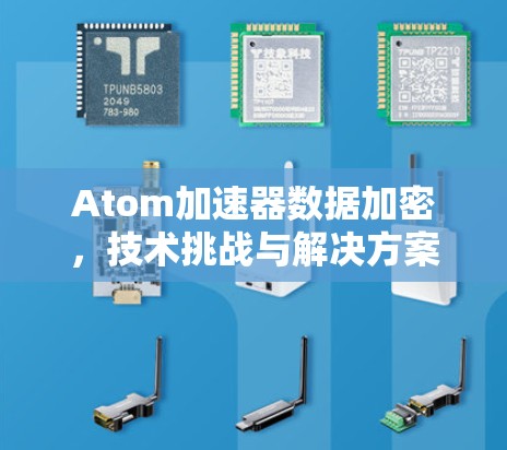 Atom加速器数据加密，技术挑战与解决方案