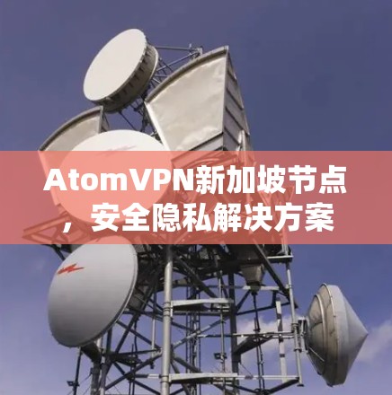 AtomVPN新加坡节点，安全隐私解决方案