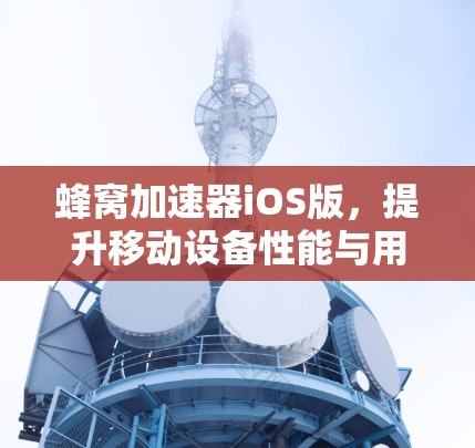 蜂窝加速器iOS版，提升移动设备性能与用户体验