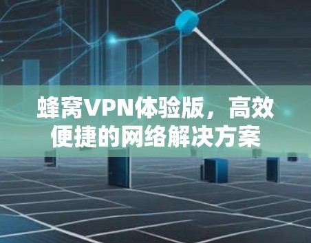 蜂窝VPN体验版，高效便捷的网络解决方案