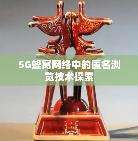5G蜂窝网络中的匿名浏览技术探索