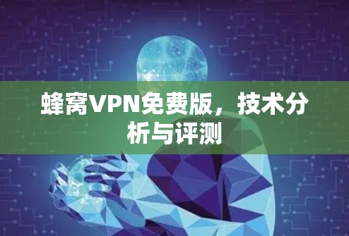 蜂窝VPN免费版，技术分析与评测
