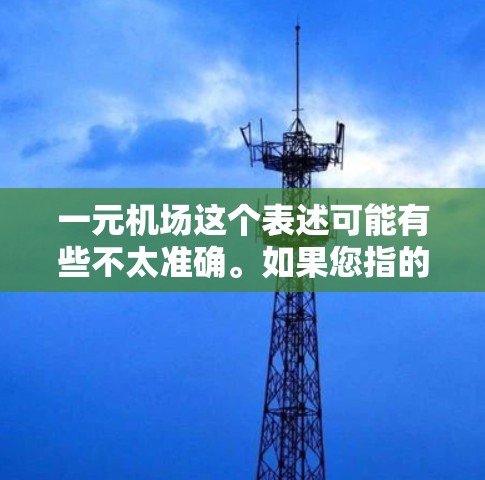 一元机场这个表述可能有些不太准确。如果您指的是某个特定的机场服务或设施，可能需要进一步明确。以下是一些可能的解释